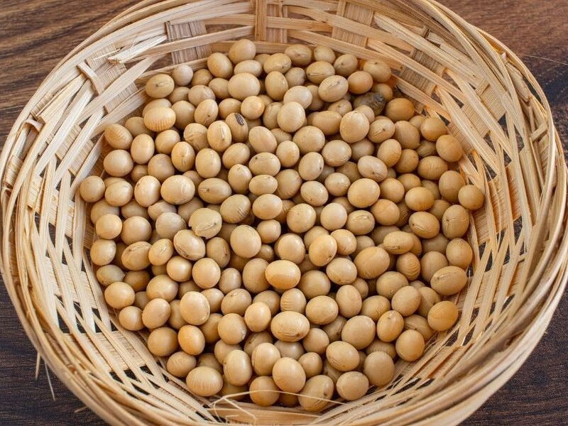 Soybean Protein