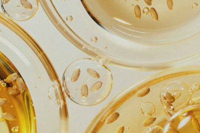 Rice Bran Seed Extract