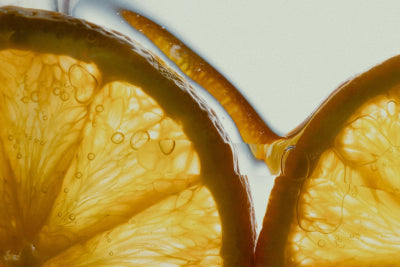 Citrus Fruit Peel Extracts